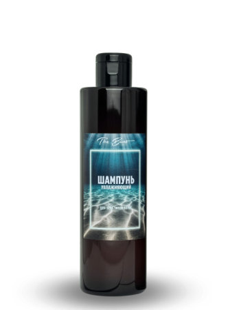 Шампунь увлажняющий для всех типов волос, 250 мл The Bunt